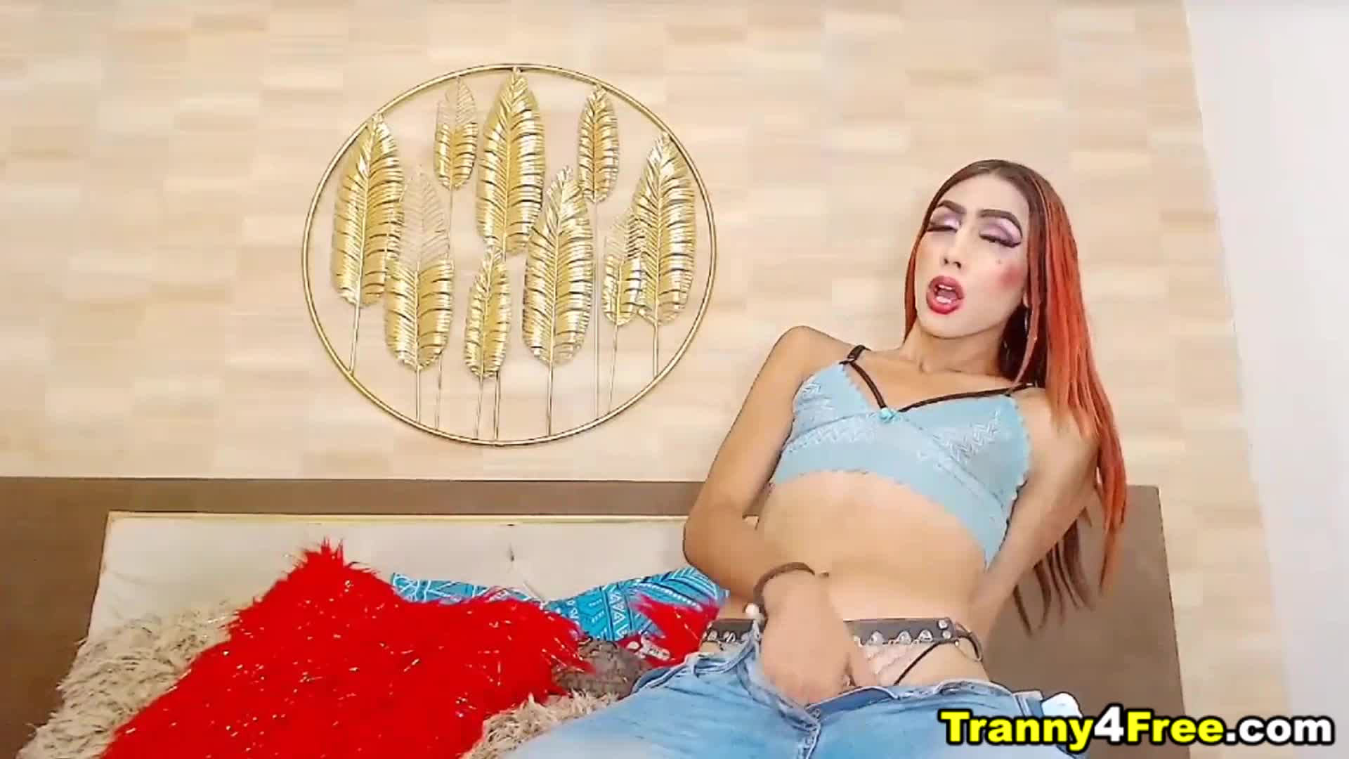 Trannylove